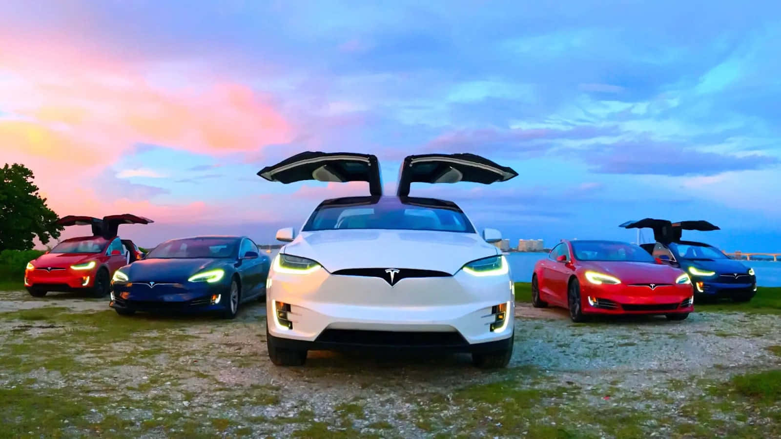 Unaelegante Tesla Model X Catturata Con Uno Sfondo Del Cielo Notturno