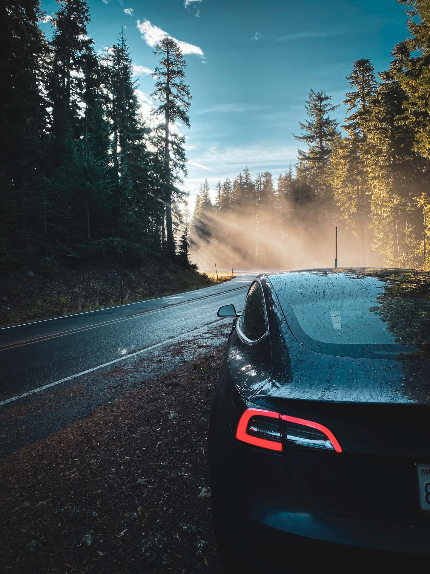 The Iconic Tesla on the Road