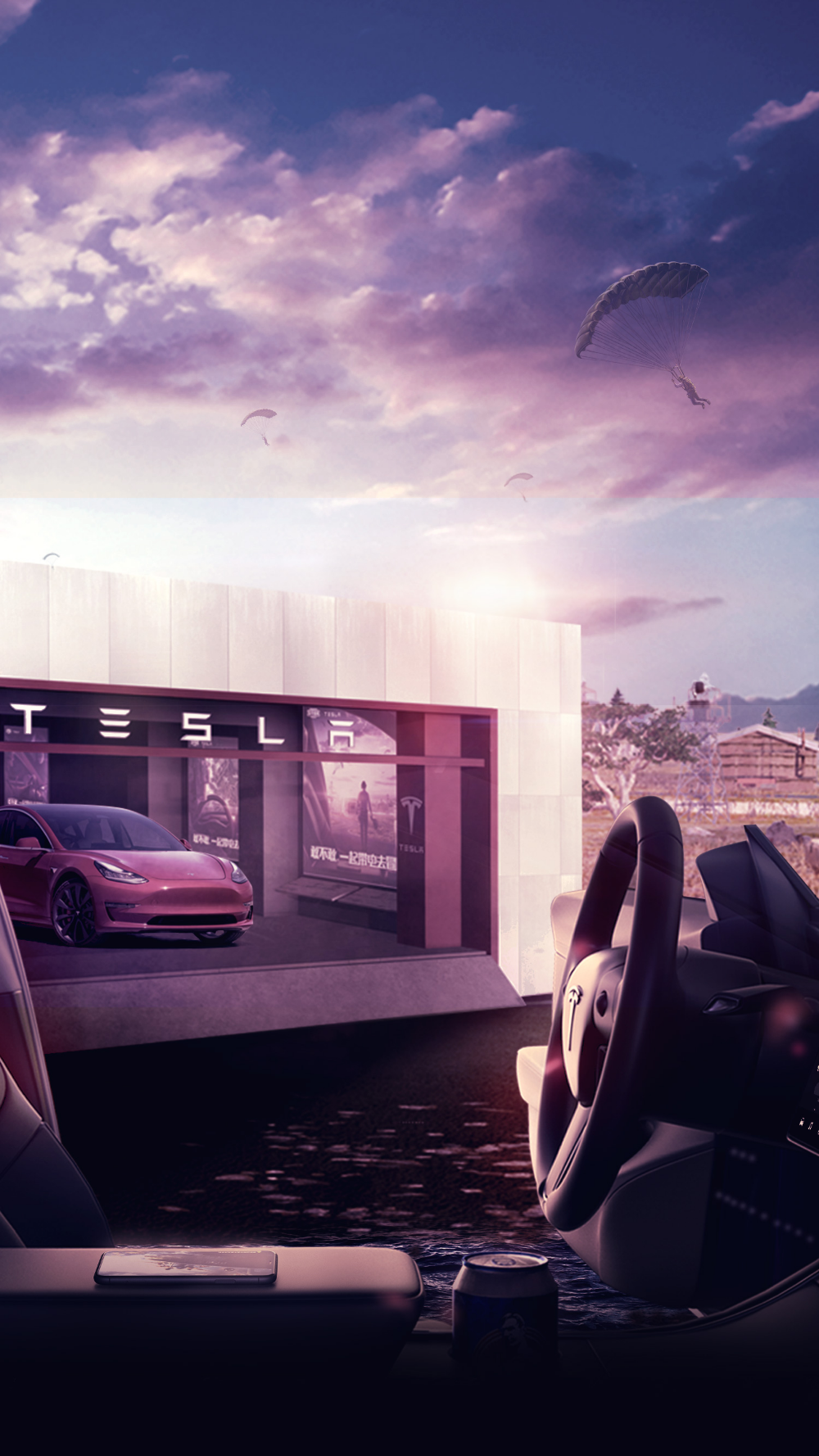 "Driving the Future with Tesla"