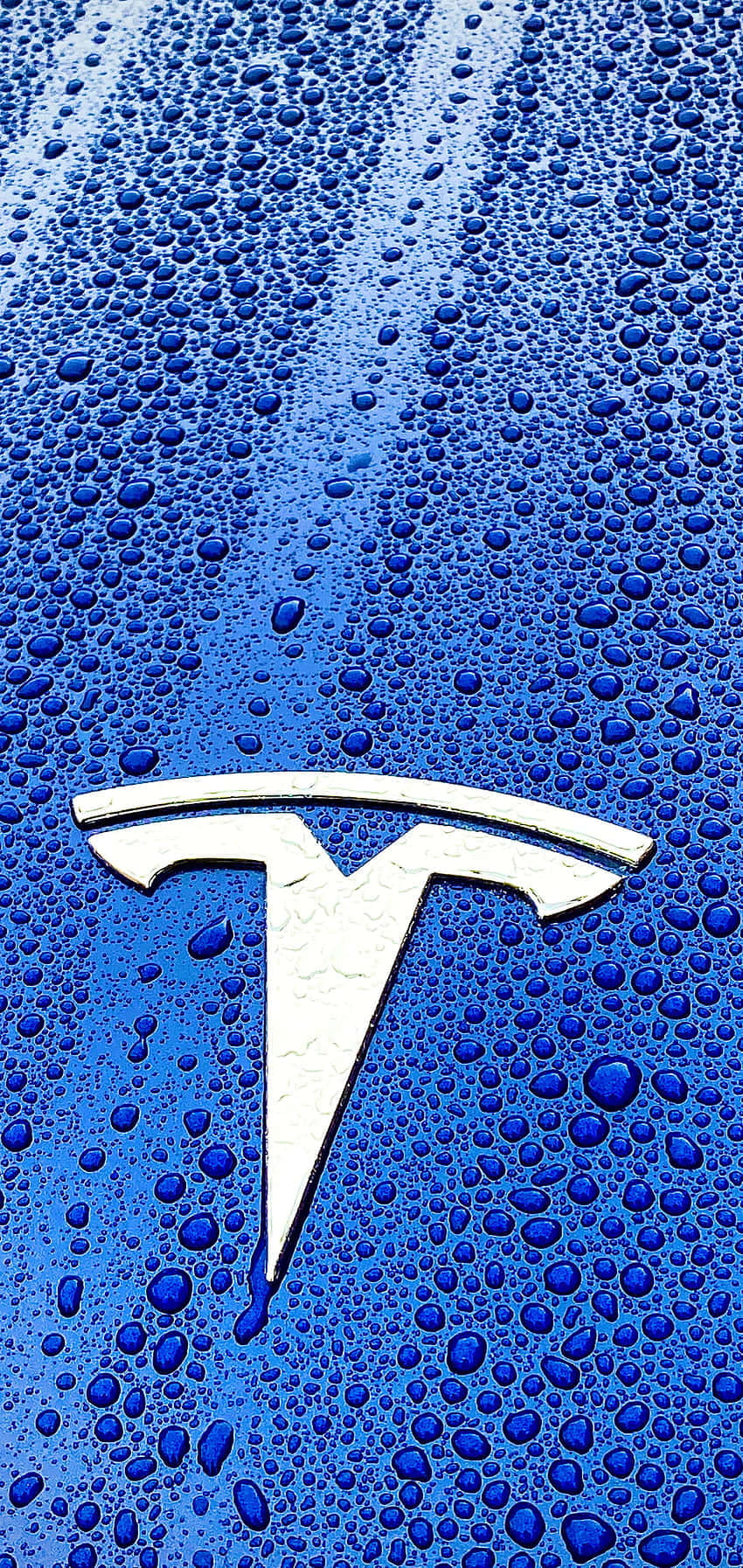"Branding Perfection: Tesla Logo 4K" Wallpaper