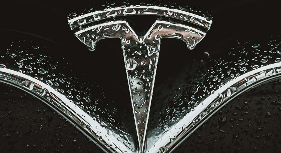 Tesla Logo i Farven af Ekcellence Wallpaper