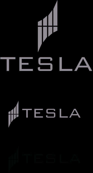 Tesla Logo Variations PNG