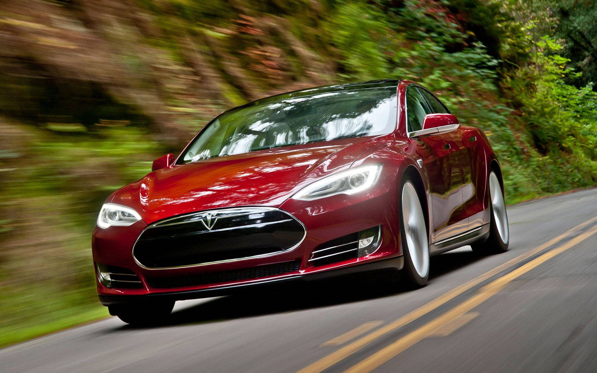 Tesla Model S Speed Nature