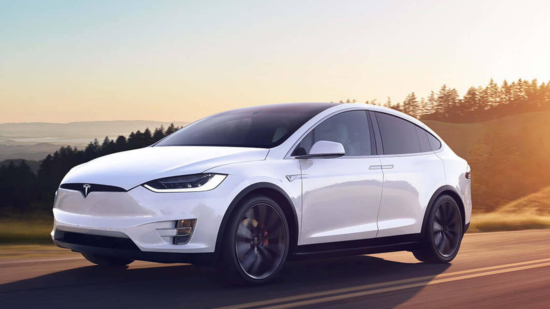 White Tesla Model X Picture