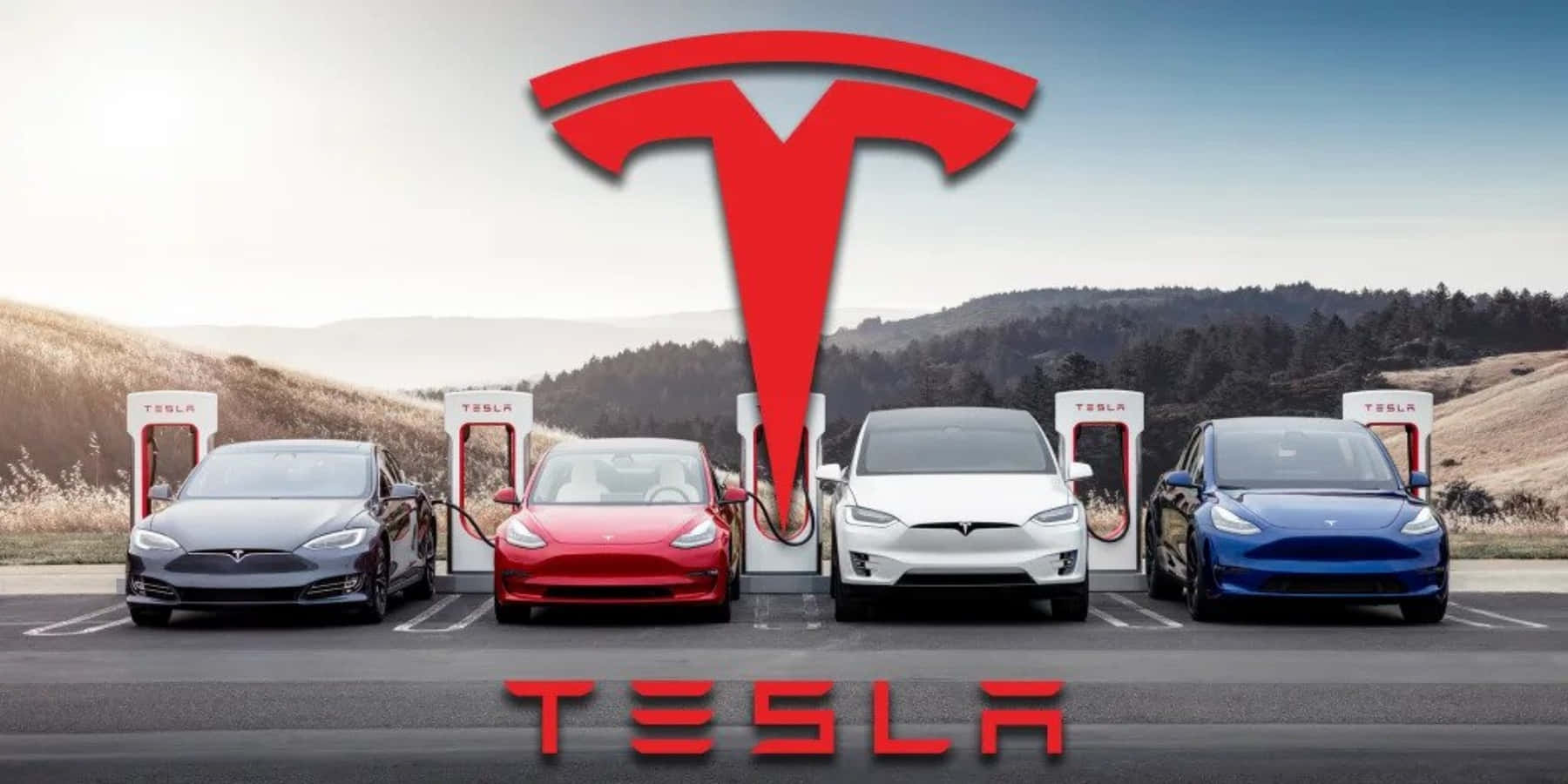 Teslarotes Logo-bild