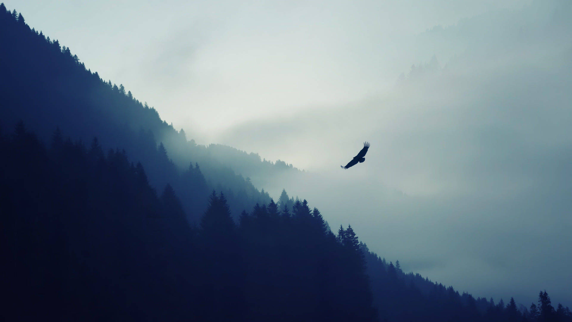 Soaring proudly - Majestic eagle above the majestic Alps Wallpaper — A lone eagle soars through misty mountains draped in deep blue and gray tones.