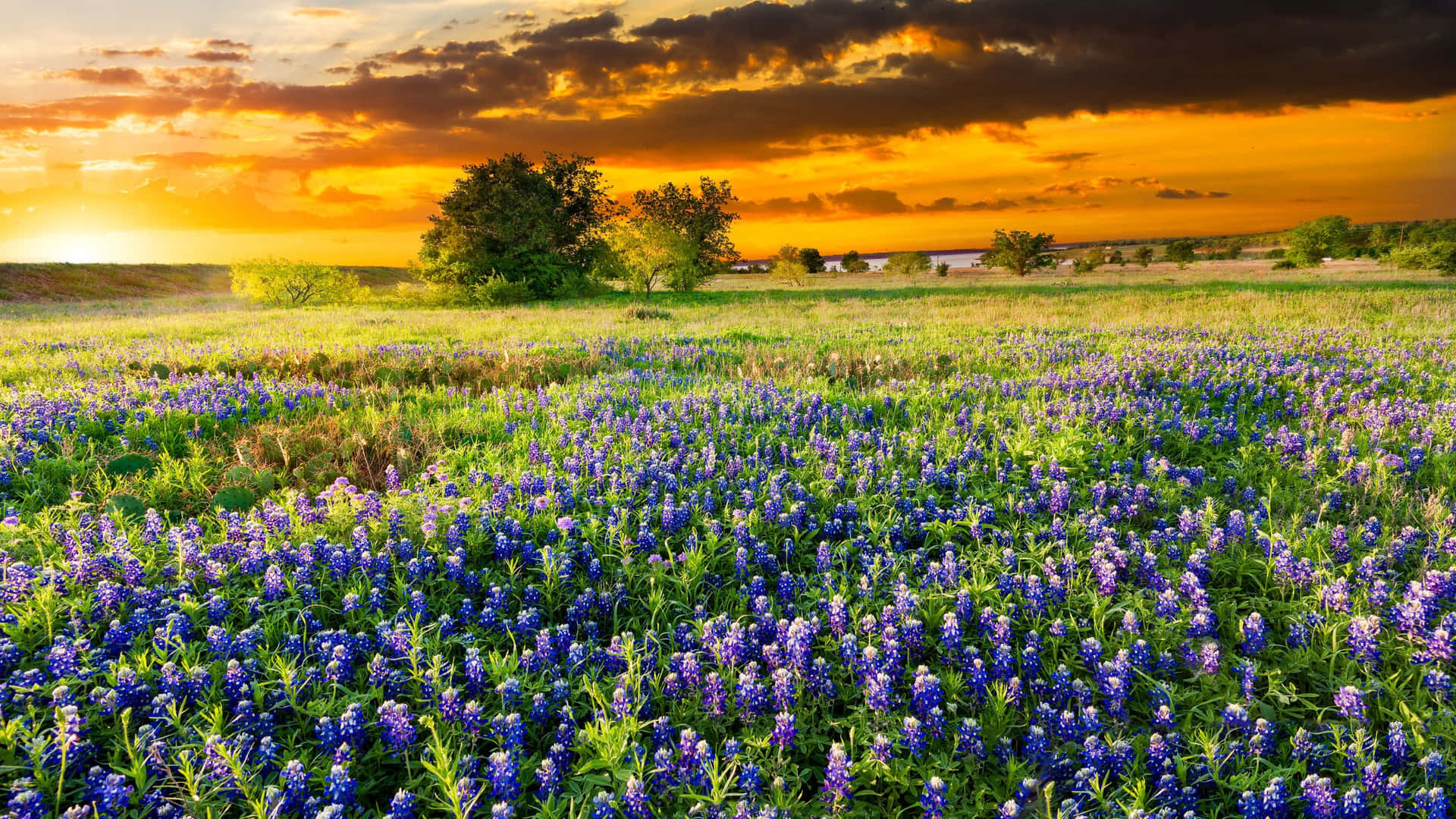 Einatemberaubender Blick Auf Den Sonnenuntergang In Texas.