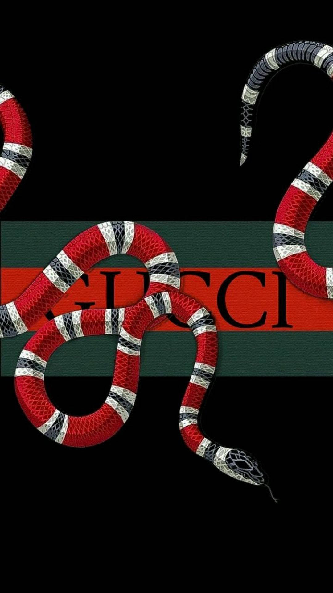 feedback Perth Blackborough complicaties Download Texas Coral Snake With Gucci Logo Wallpaper | Wallpapers.com