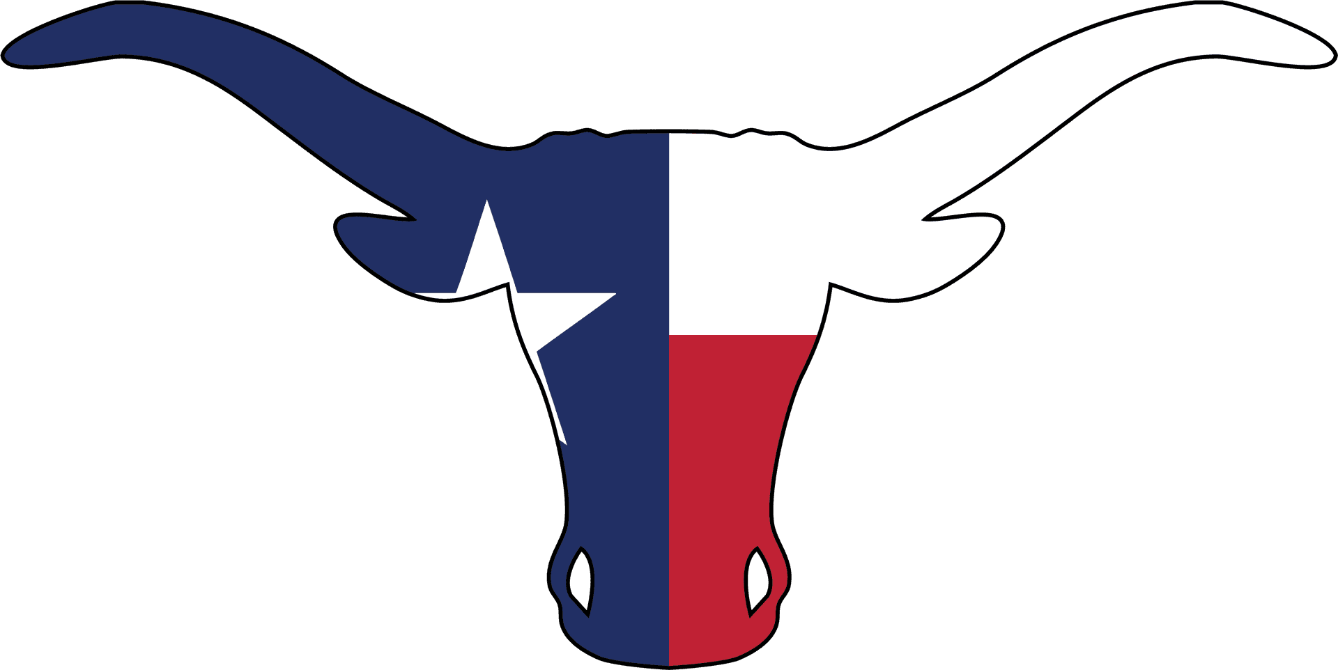 Download Texas Flag Longhorn Silhouette 0218