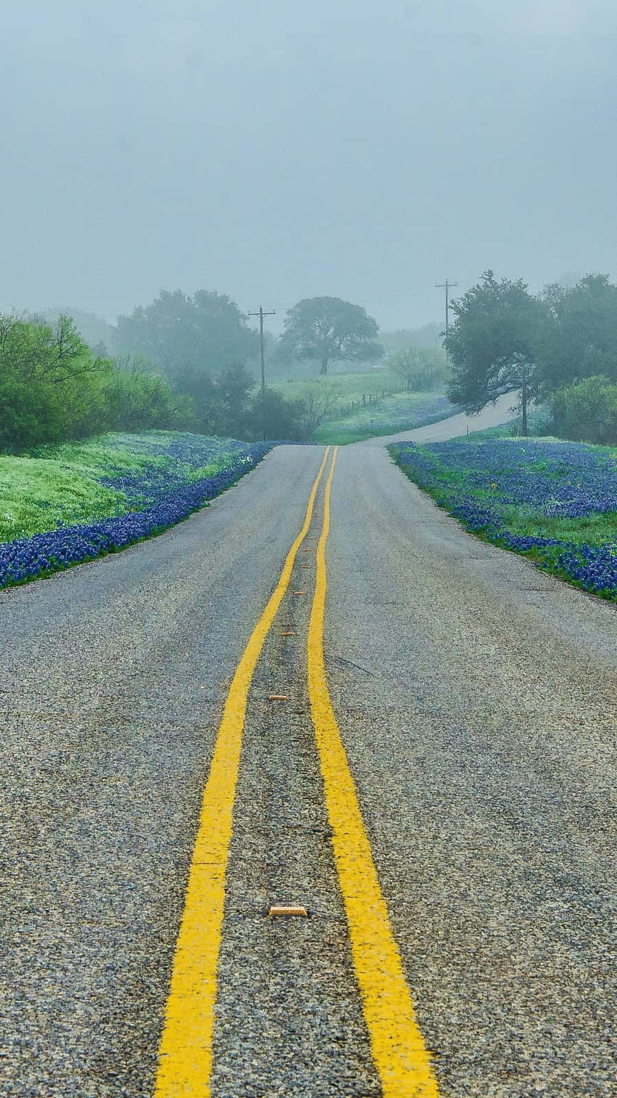 A Road With Bluebonnets In The Background Wallpaper