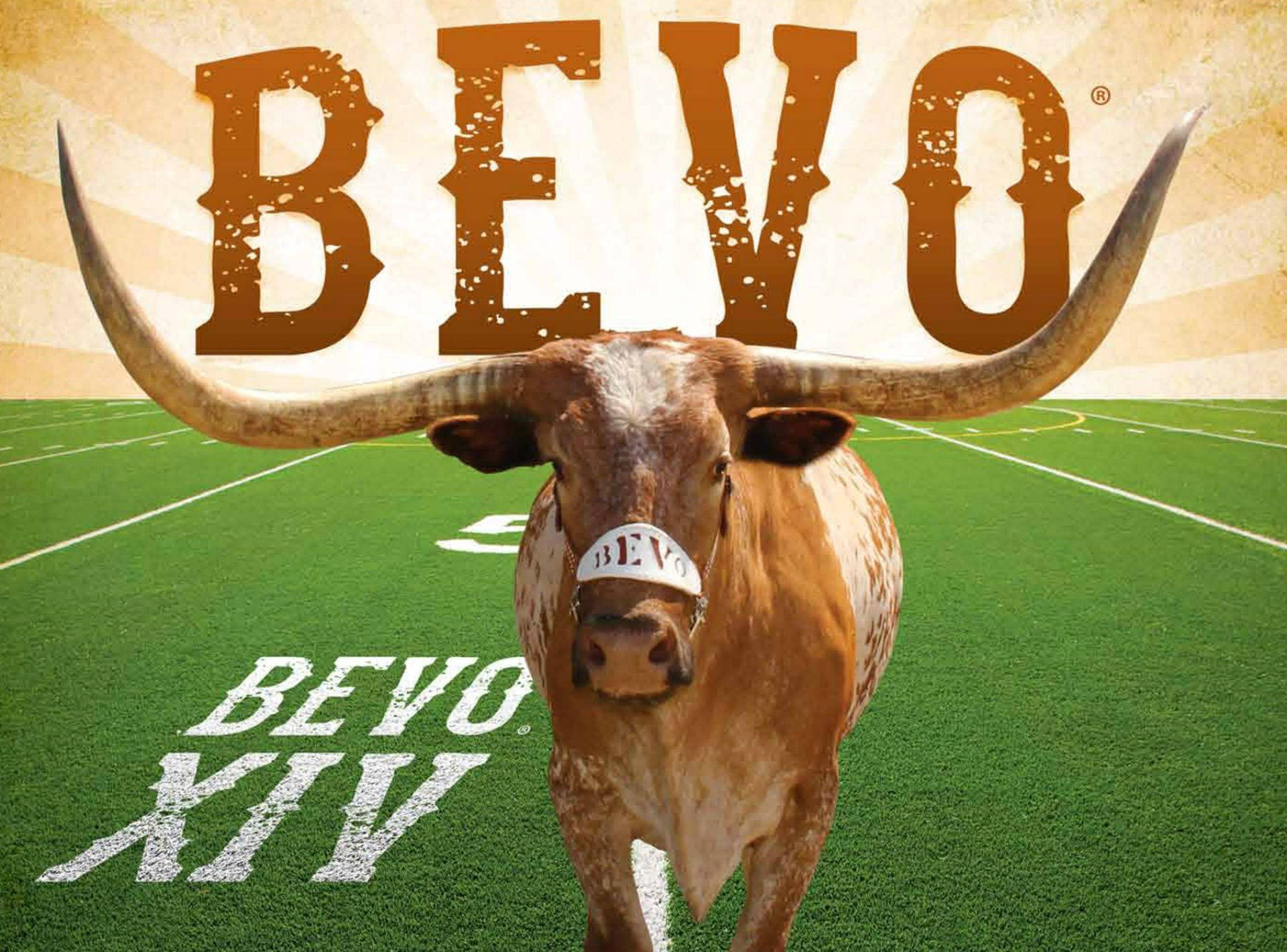 Texas Longhorn Beef Cattle levende tapet. Wallpaper