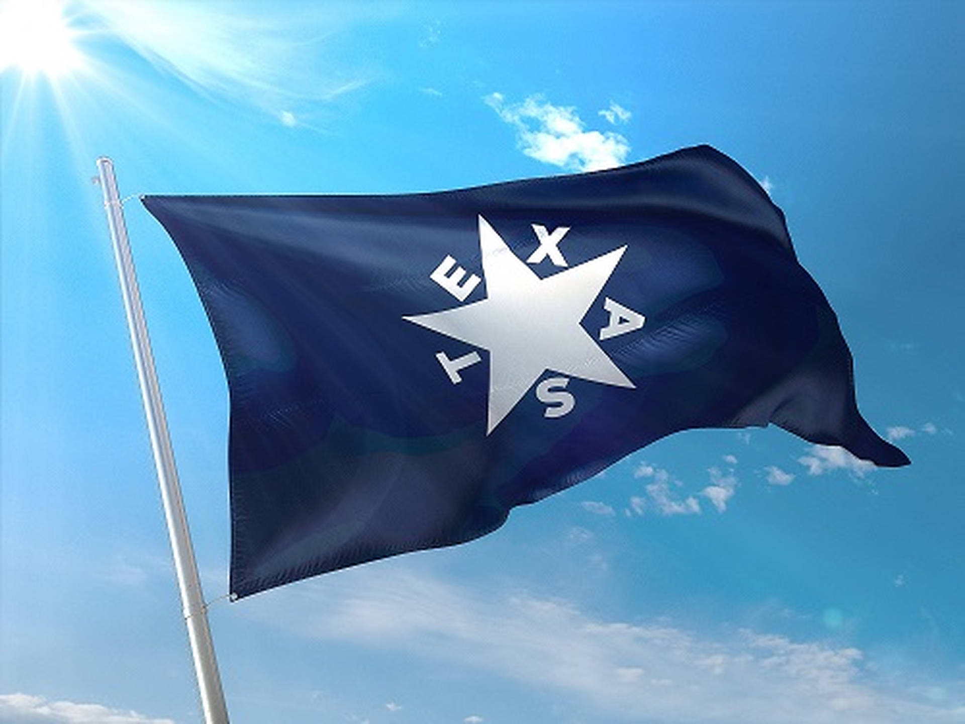Texas Zavala Flag Wallpaper