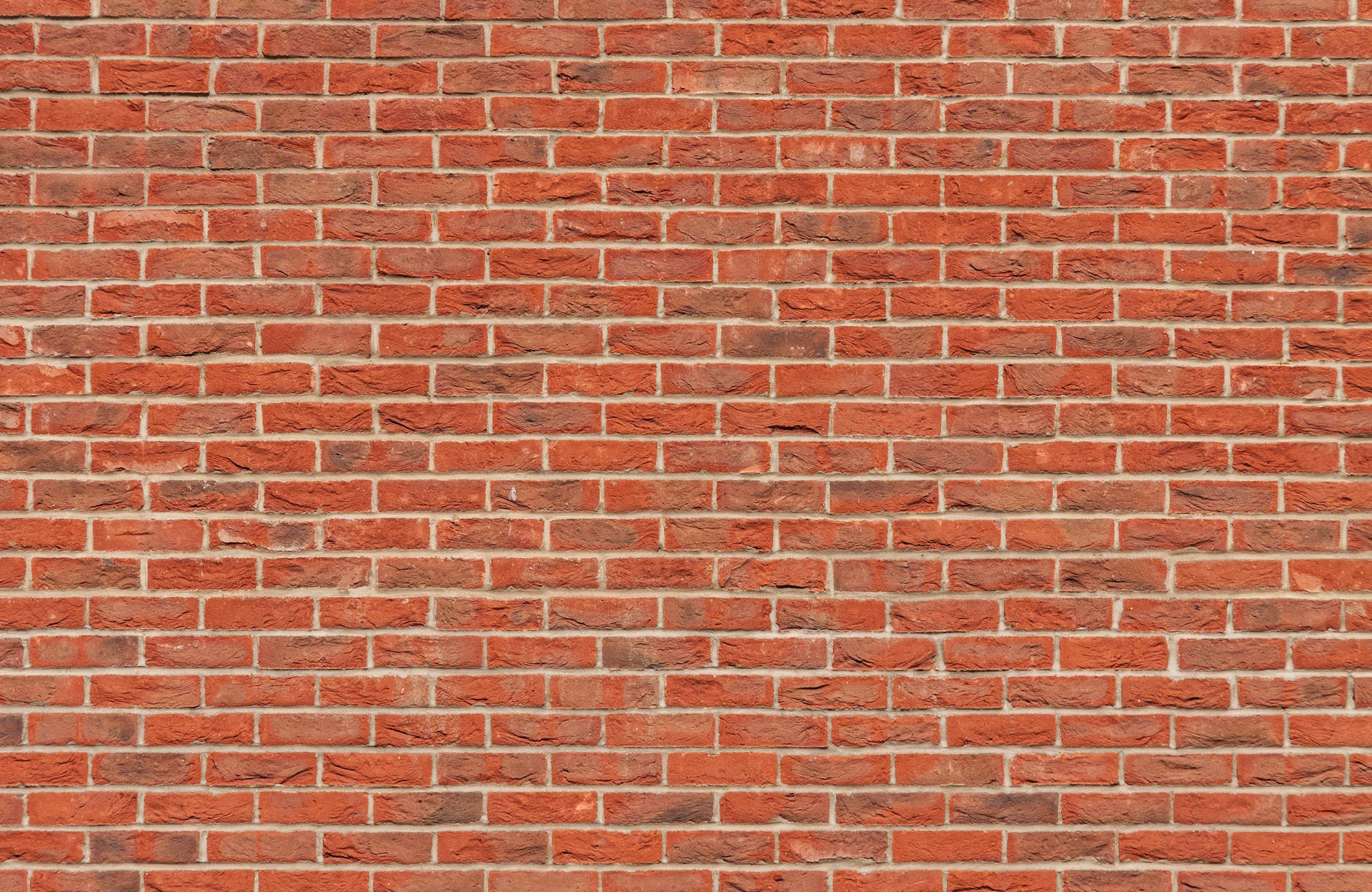 Texture Hard Red Brick Wall Wallpaper