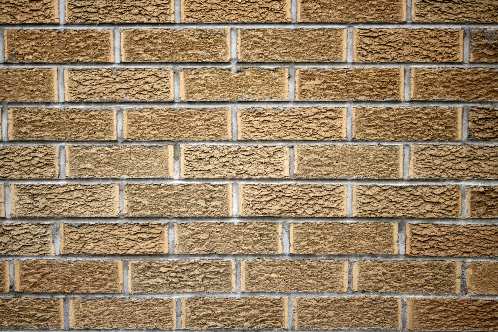 Intriguing Wall Texture Detail