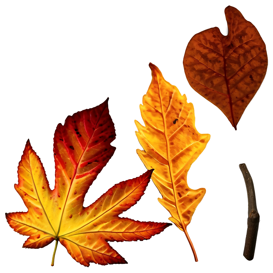 Download Textured Fall Leaf Png Rcy | Wallpapers.com