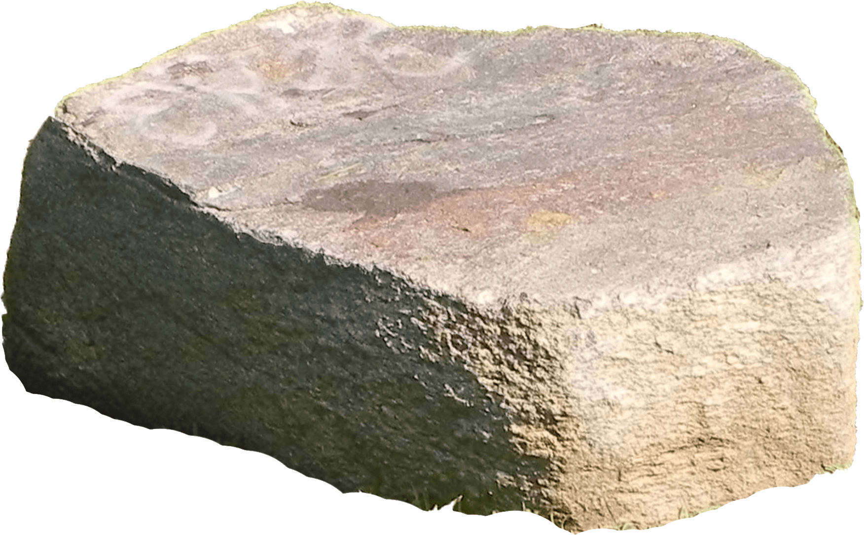 Textured Rock Surface PNG