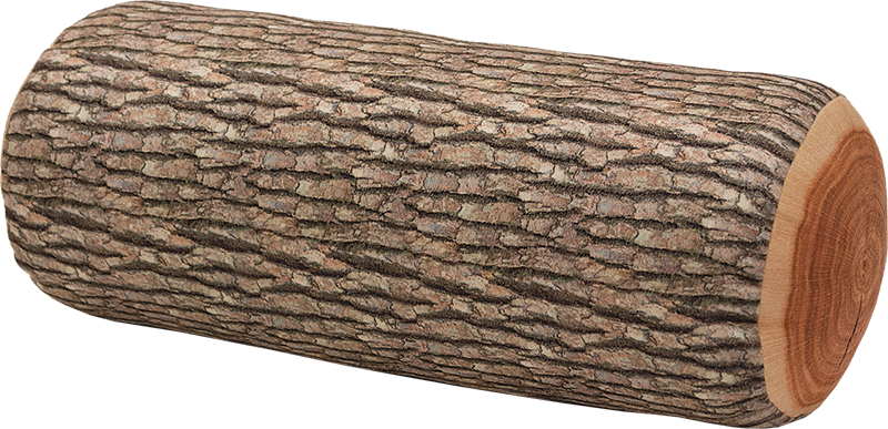 Textured Tree Log Isolated Background PNG