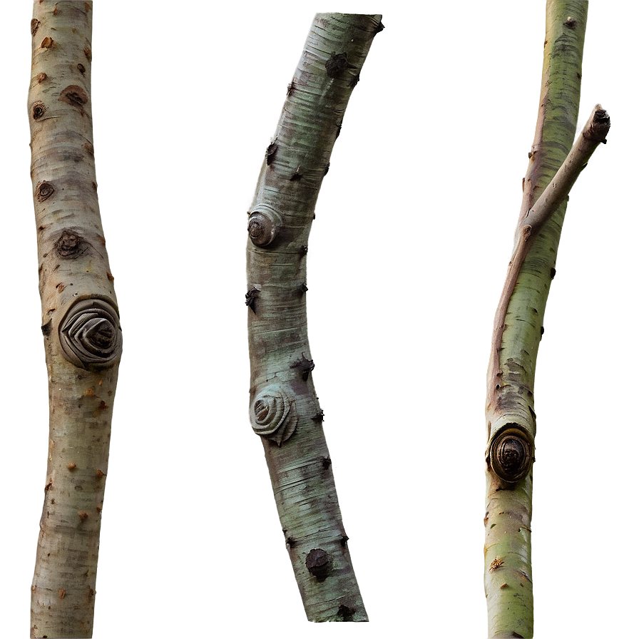 Textured Twig Png Qbh61 PNG
