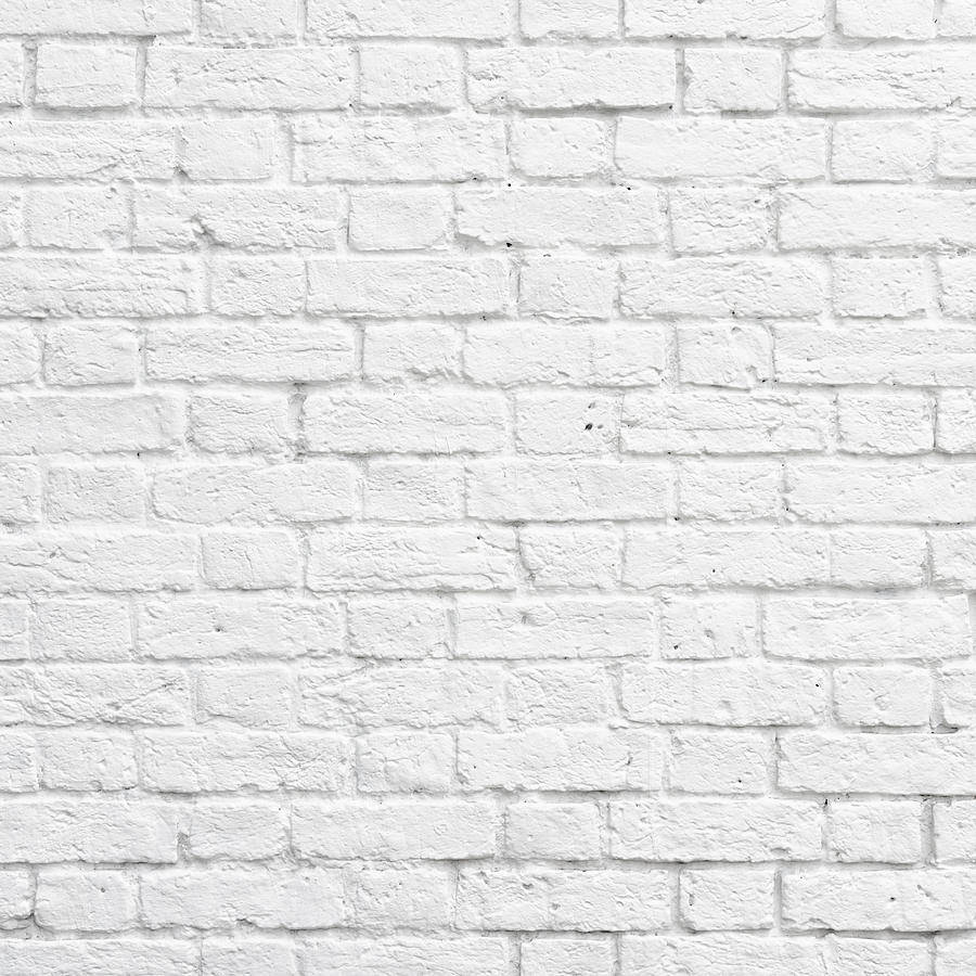 Tekstureret hvid mursten Flemisch Pact Wallpaper