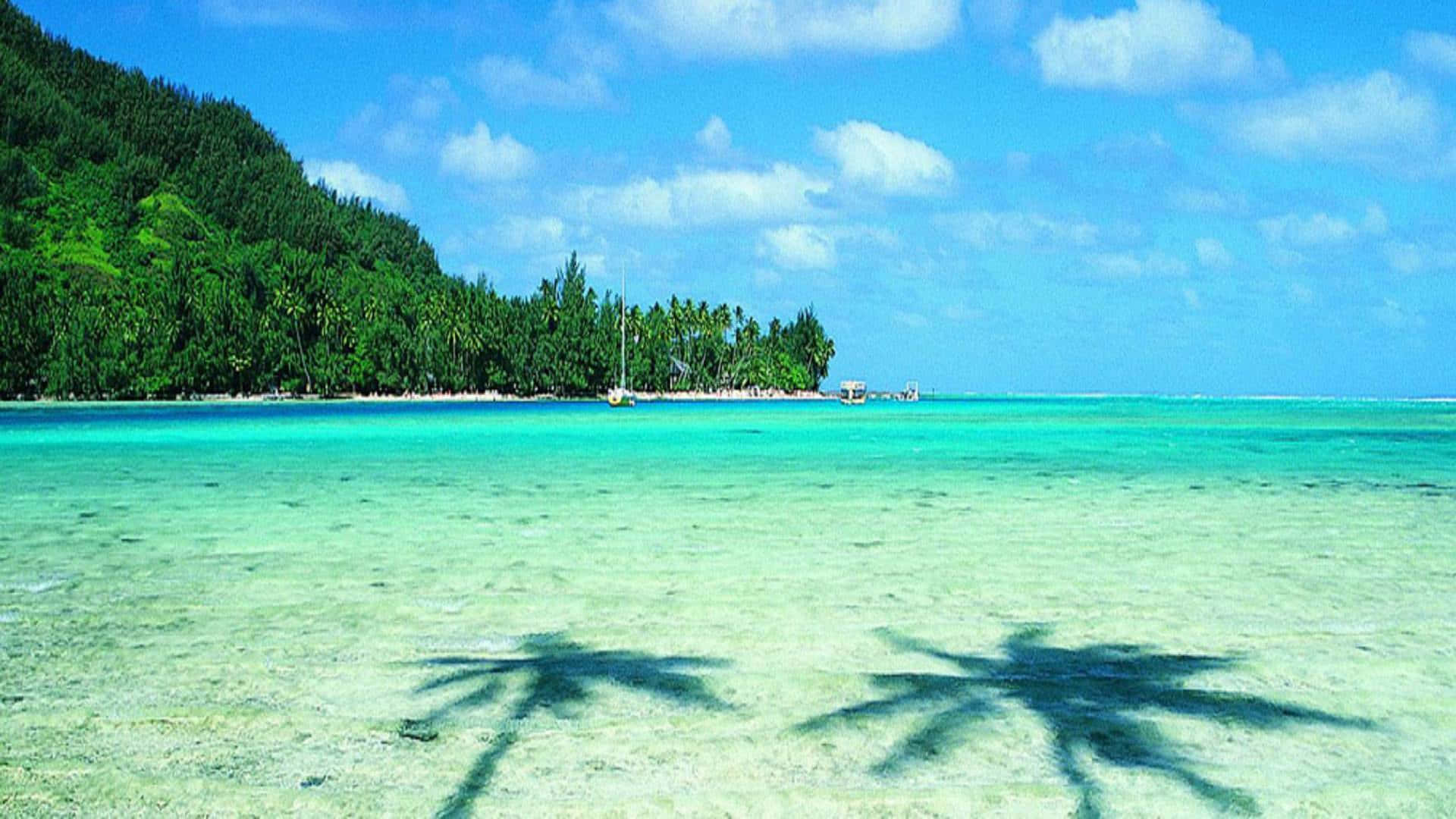 Plage Magnifique De Thaïlande Dans Des Eaux Cristallines Fond d'écran