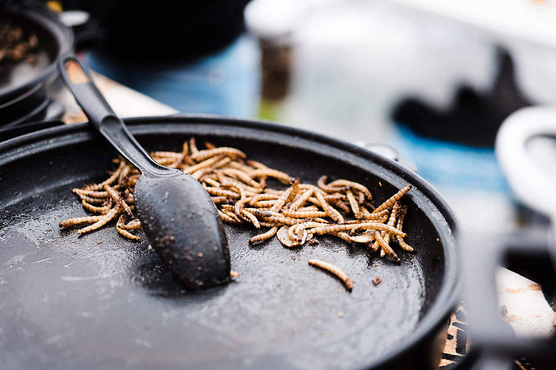 Thailand Fried Silkworm Food Desktop Wallpaper