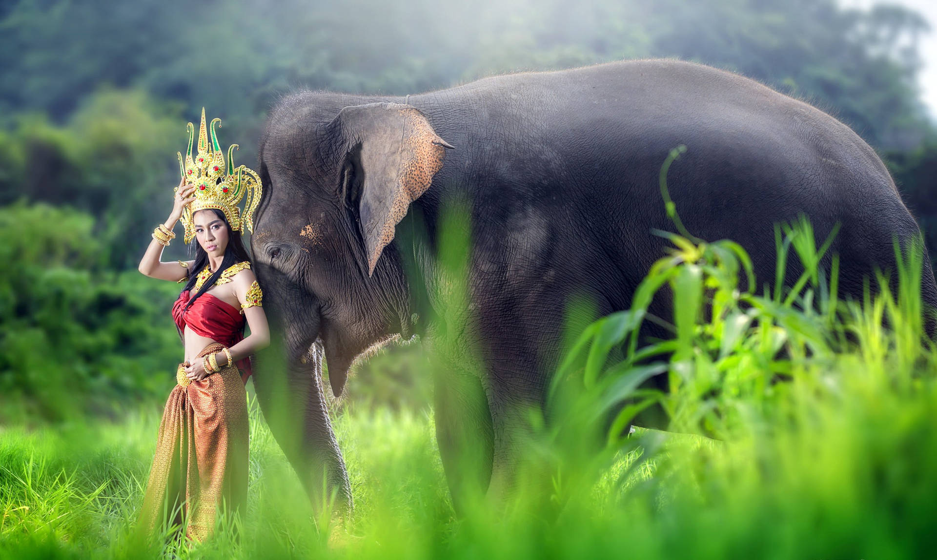 Thailand Woman And Indian Elephant Wallpaper