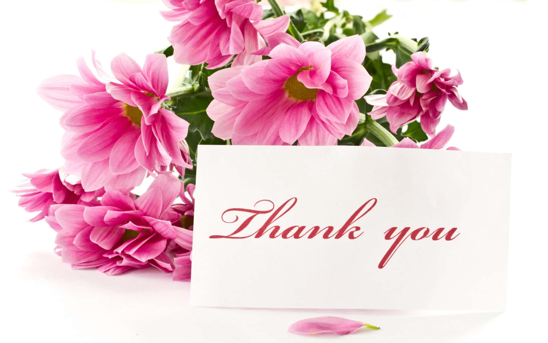 Elegant Thank You Background with Floral Design