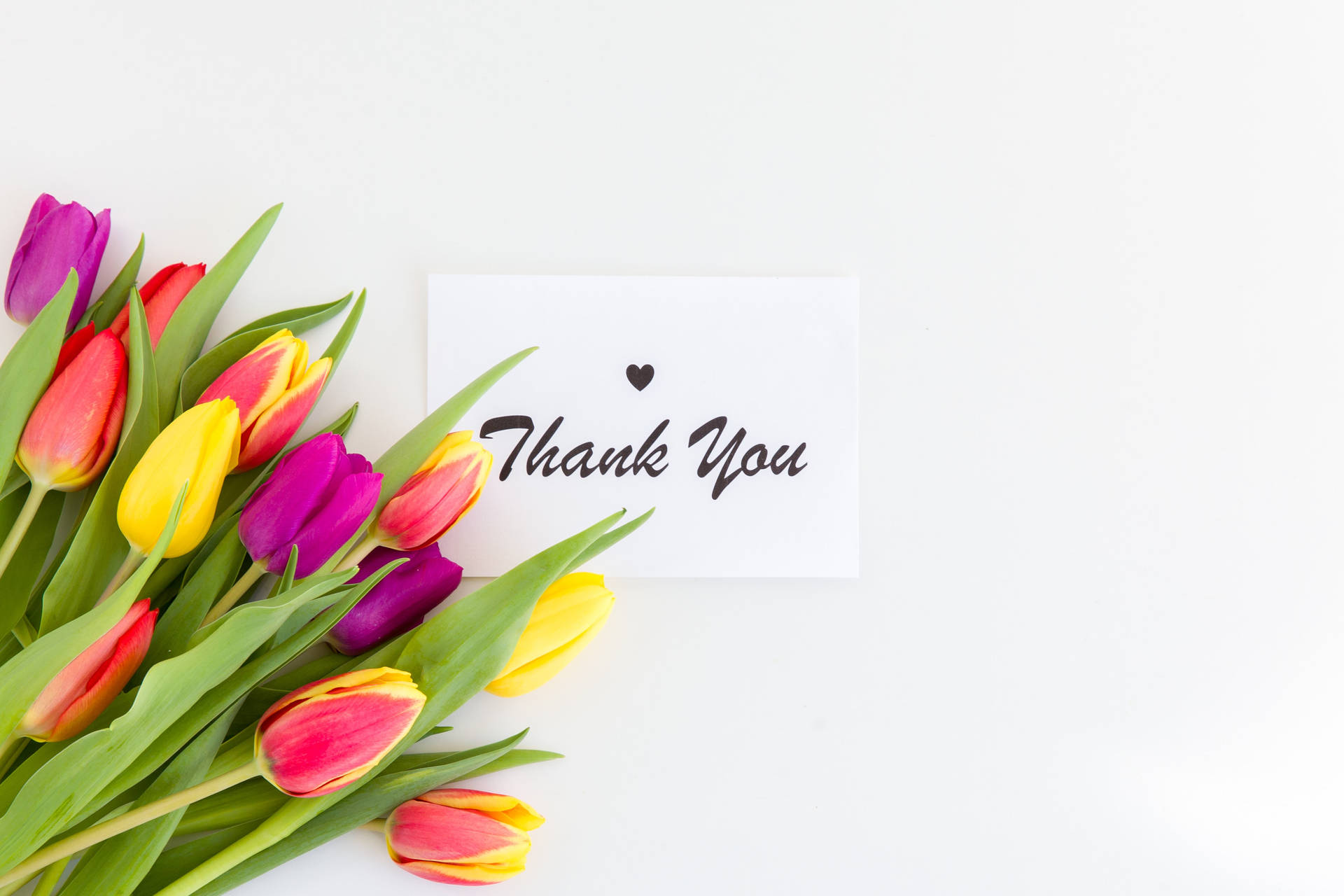 Thank You Greeting With Flowers