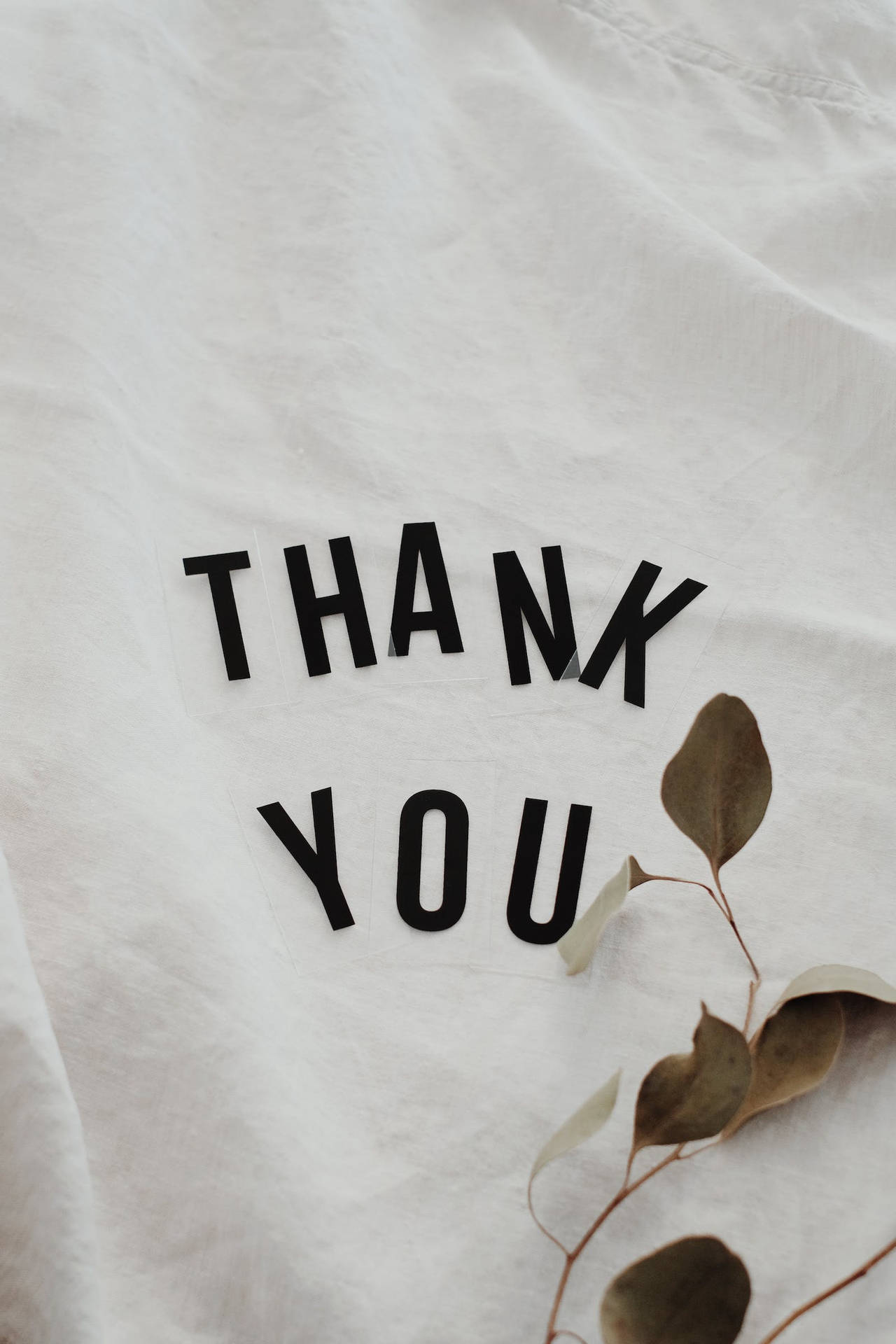 Thank You In White Wallpaper