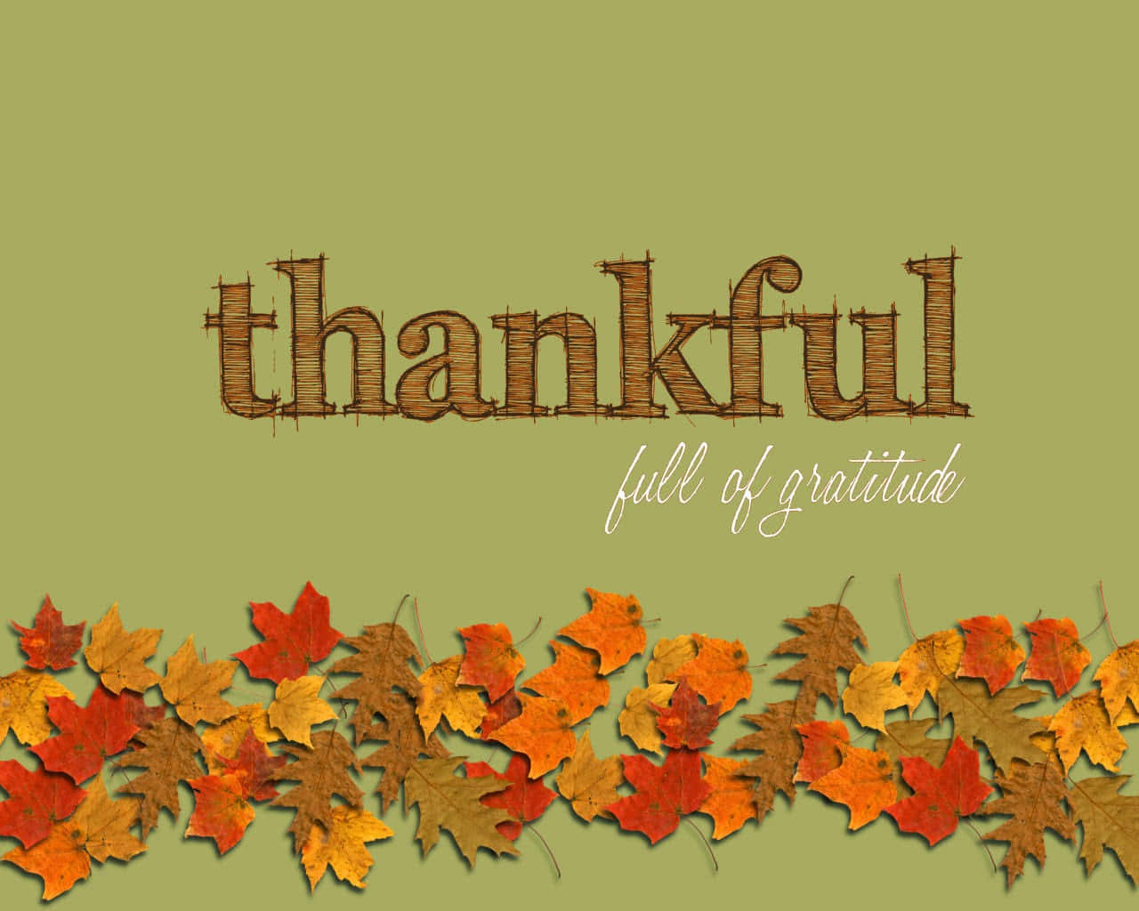 Thankful Full Of Gratitude