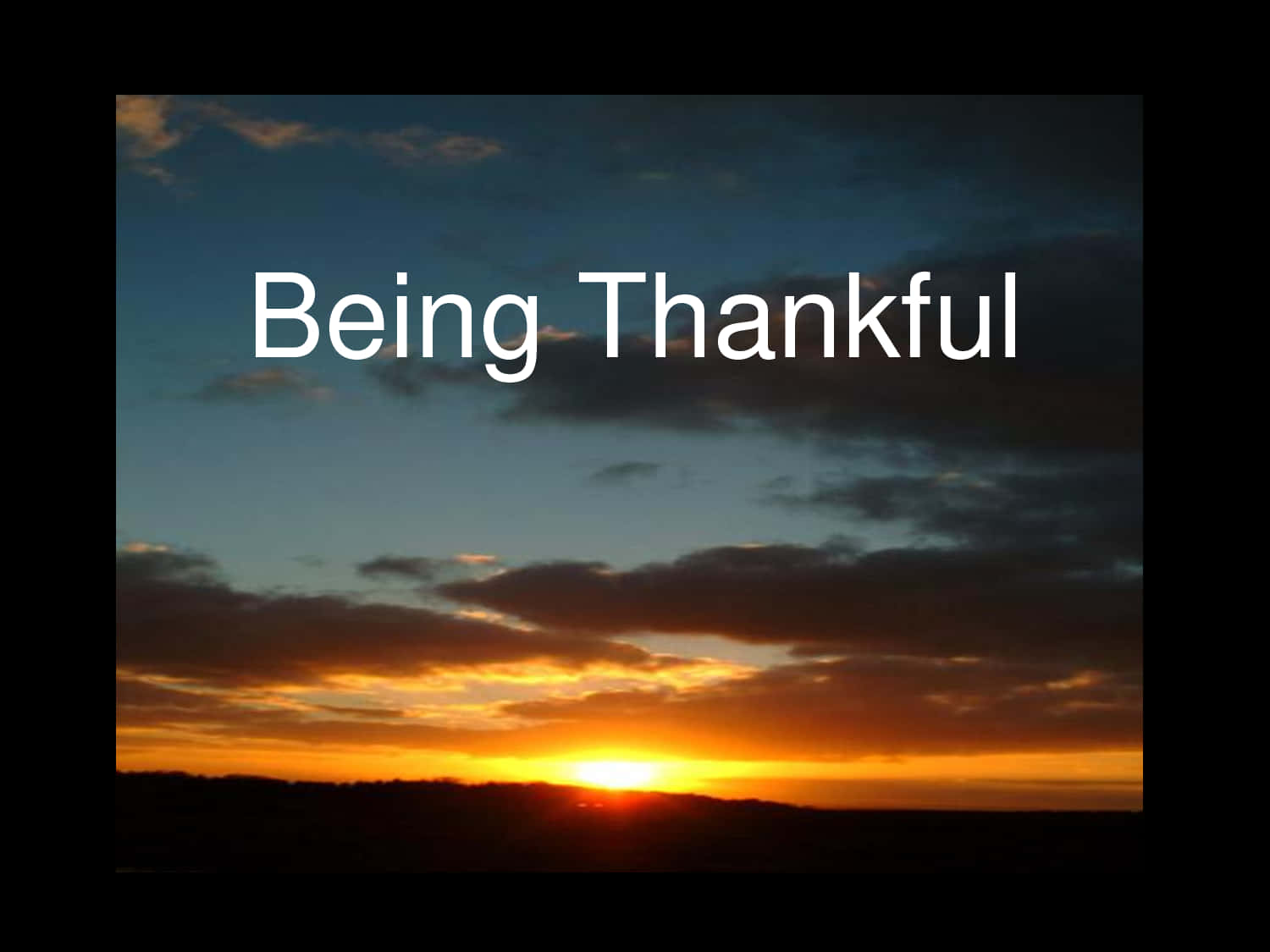 Giving Thanks for All