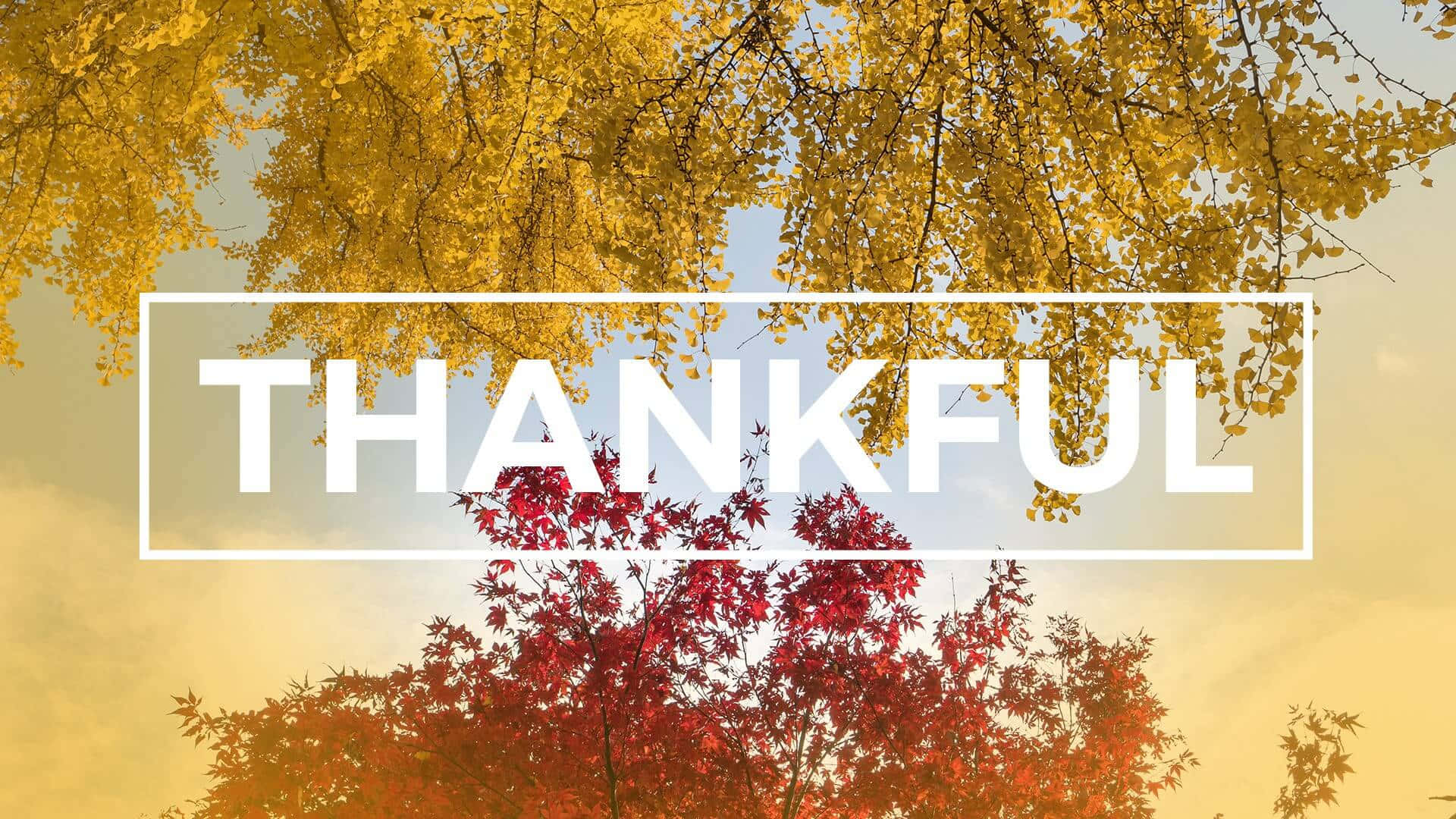 Thankful Quotes For The Fall