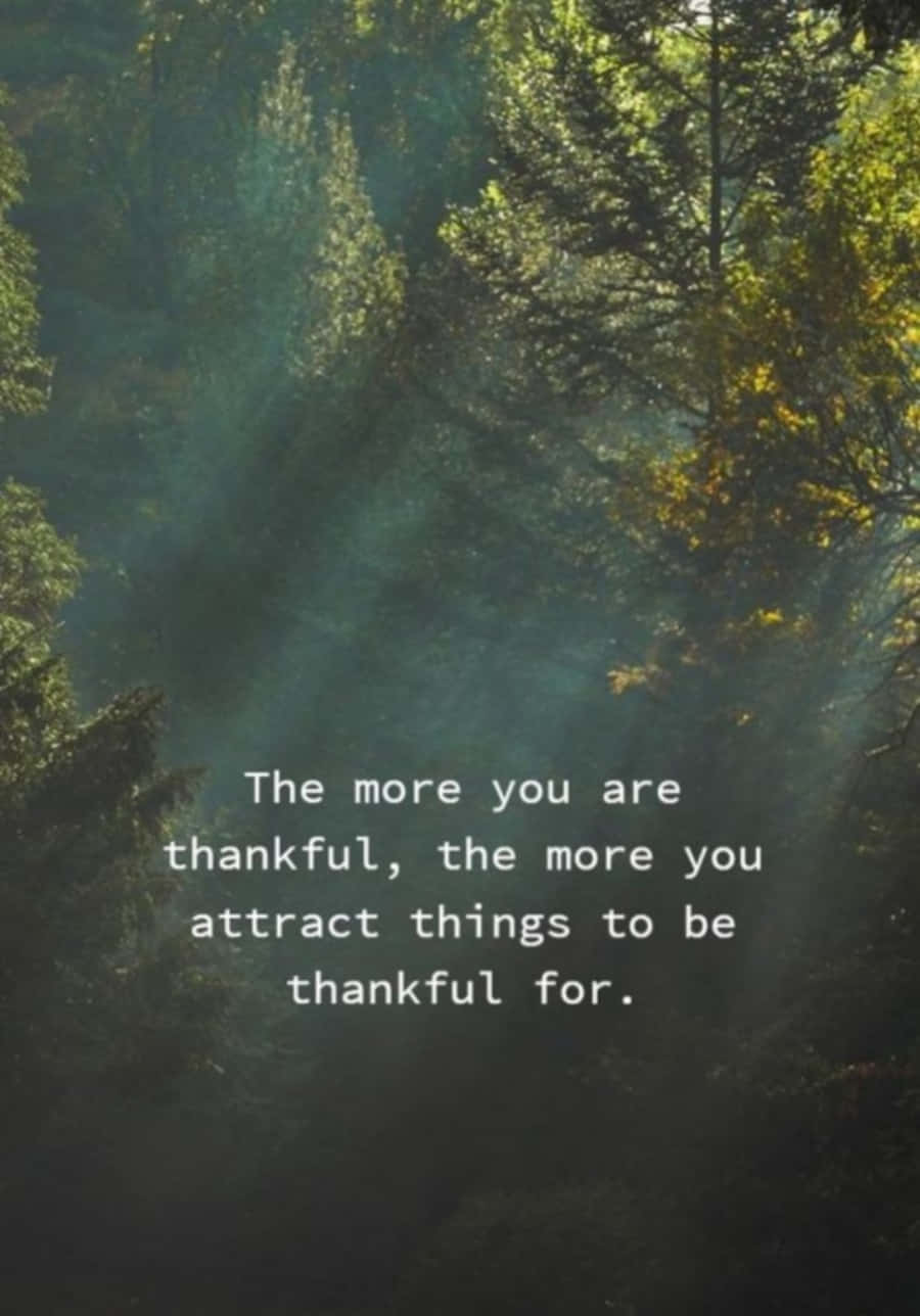 Take a moment to be thankful for the small and big things in life.