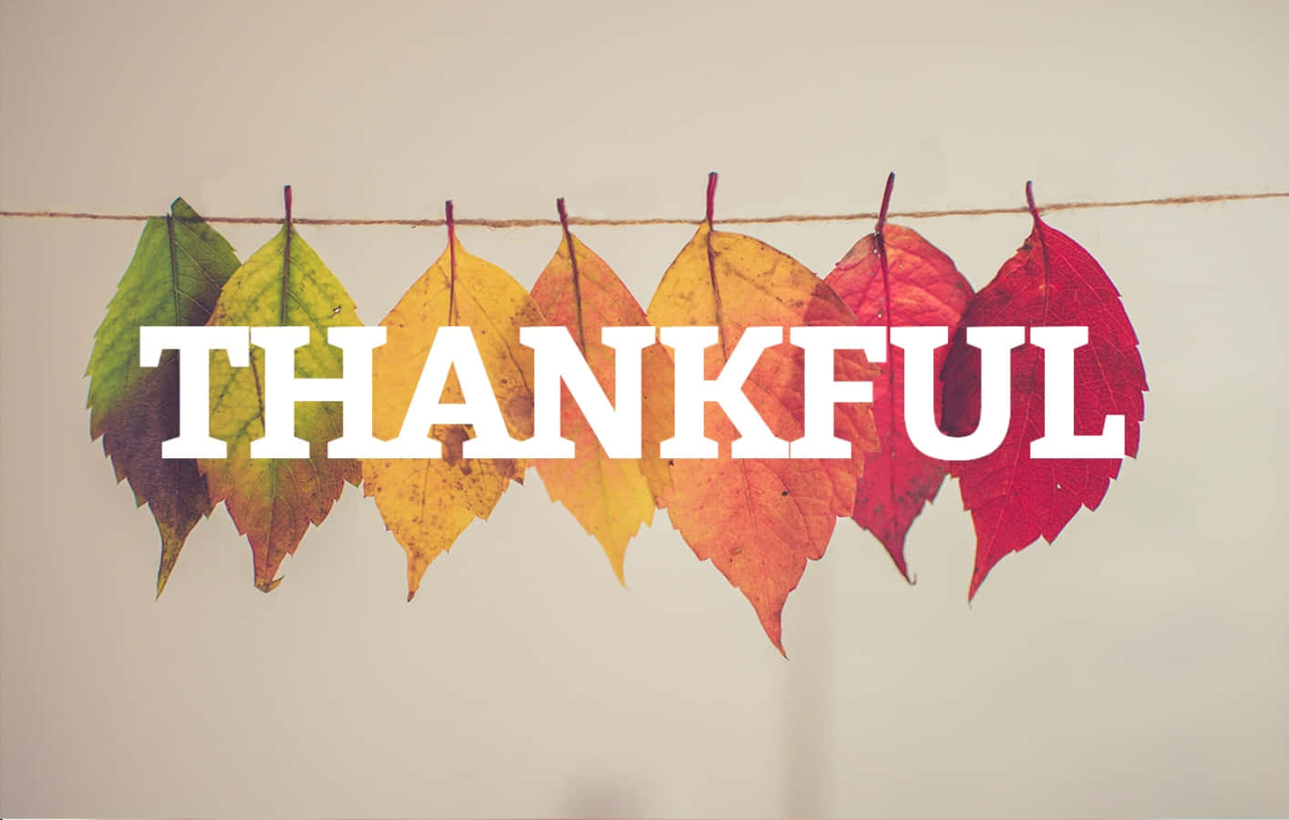 Dukommer Aldrig Känna Sann Glädje Förrän Du Lär Dig Att Vara Tacksam.