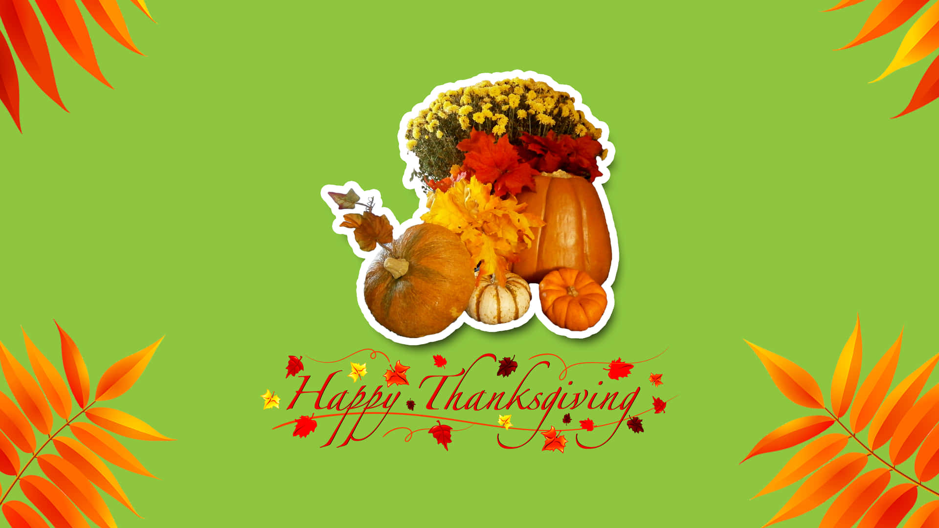 Thanksgiving 3840 X 2160 Background