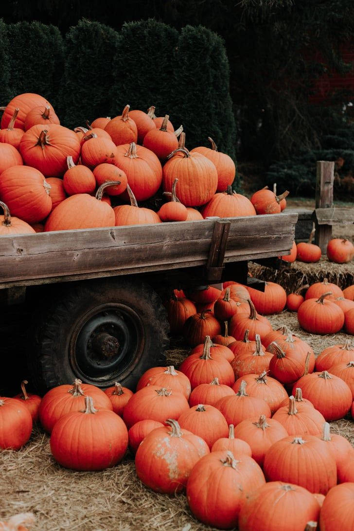 Thanksgiving Aesthetic Truck Of Pumpkins Wallpaper