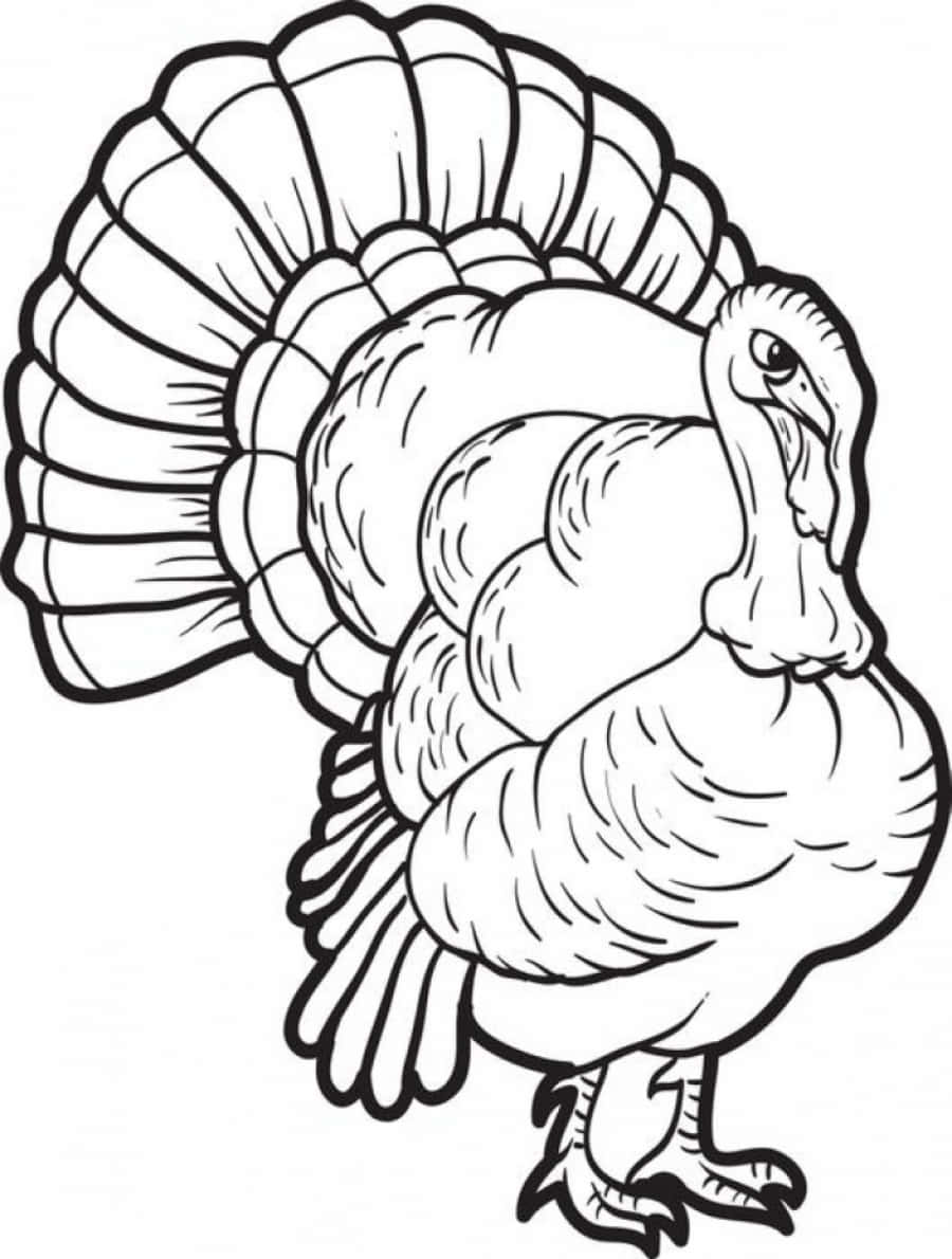Celebrate The Harvest With Thanksgiving Coloring Pictures!