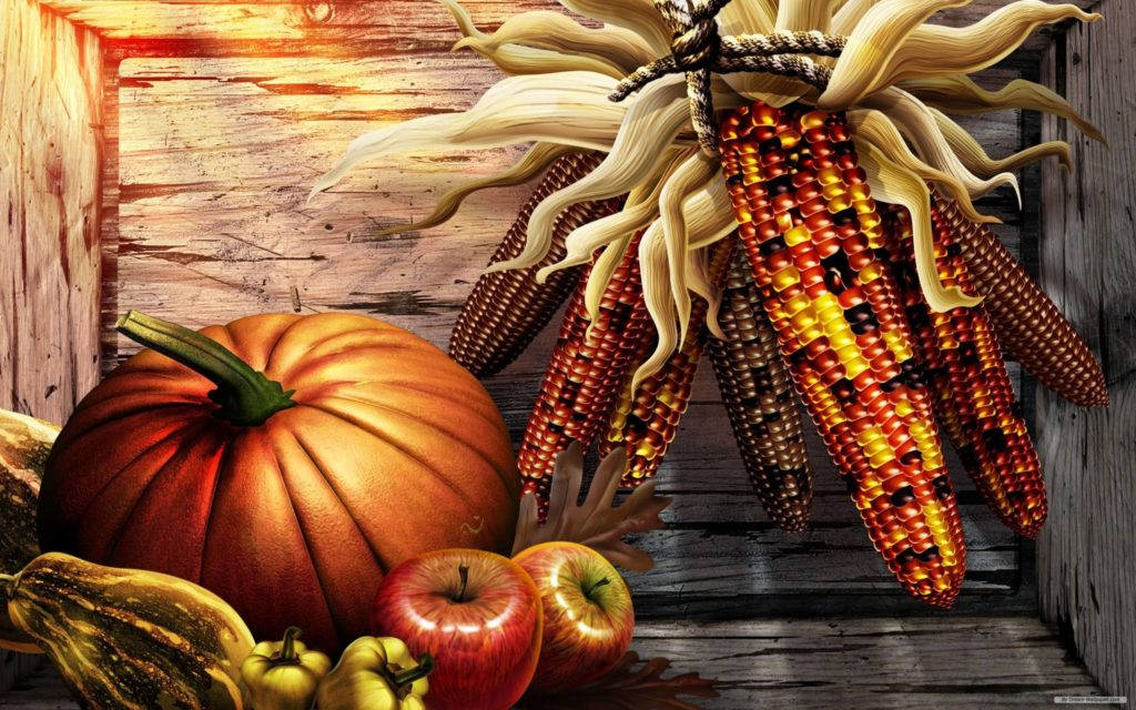 Thanksgiving Day Pumpkins And Flint Corn Wallpaper