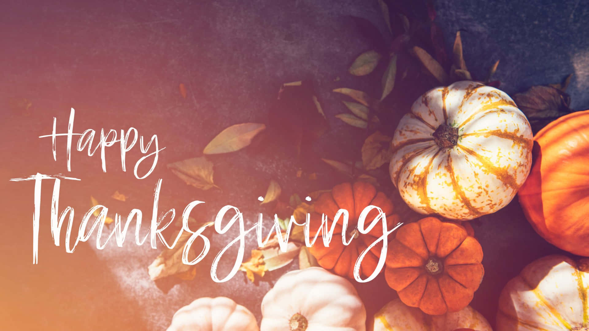 Feiernsie Thanksgiving Mit Dem Perfekten Desktop Wallpaper