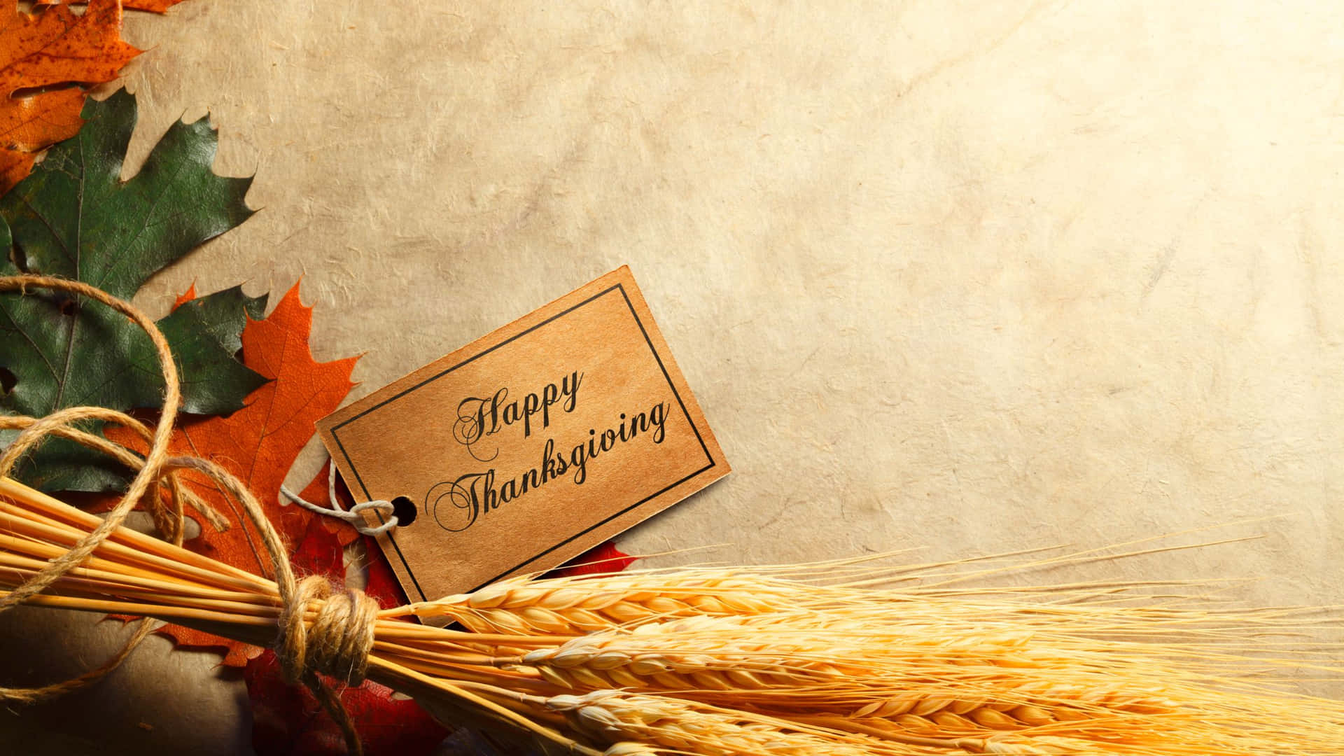 Feiernsie Thanksgiving Mit Einem Festlichen Desktop Wallpaper