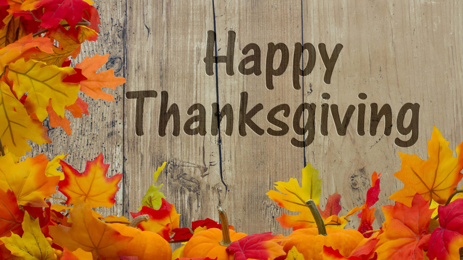 Celebrating a thankful Thanksgiving Wallpaper