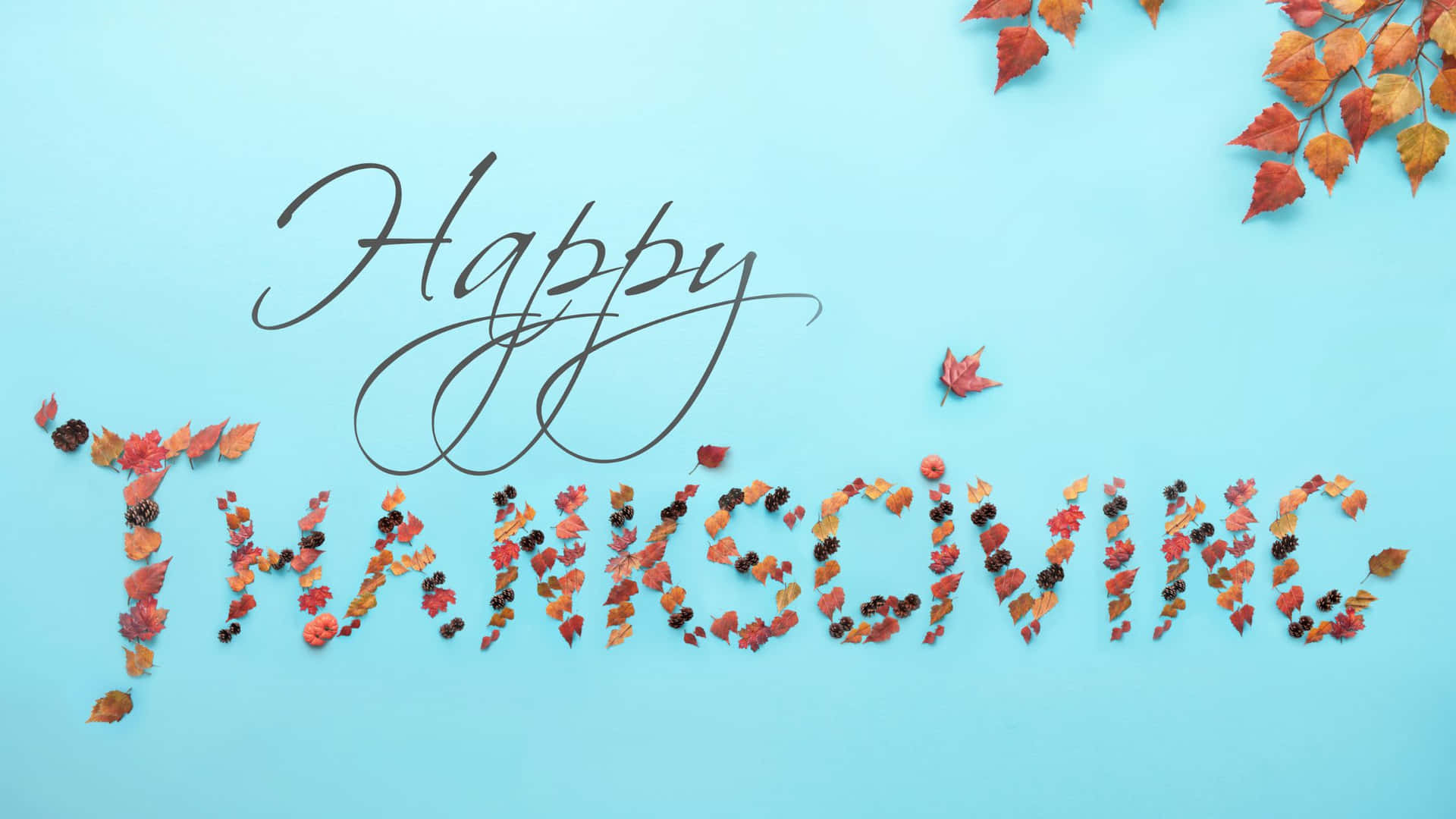 Fejr en taknemmelig Thanksgiving Wallpaper