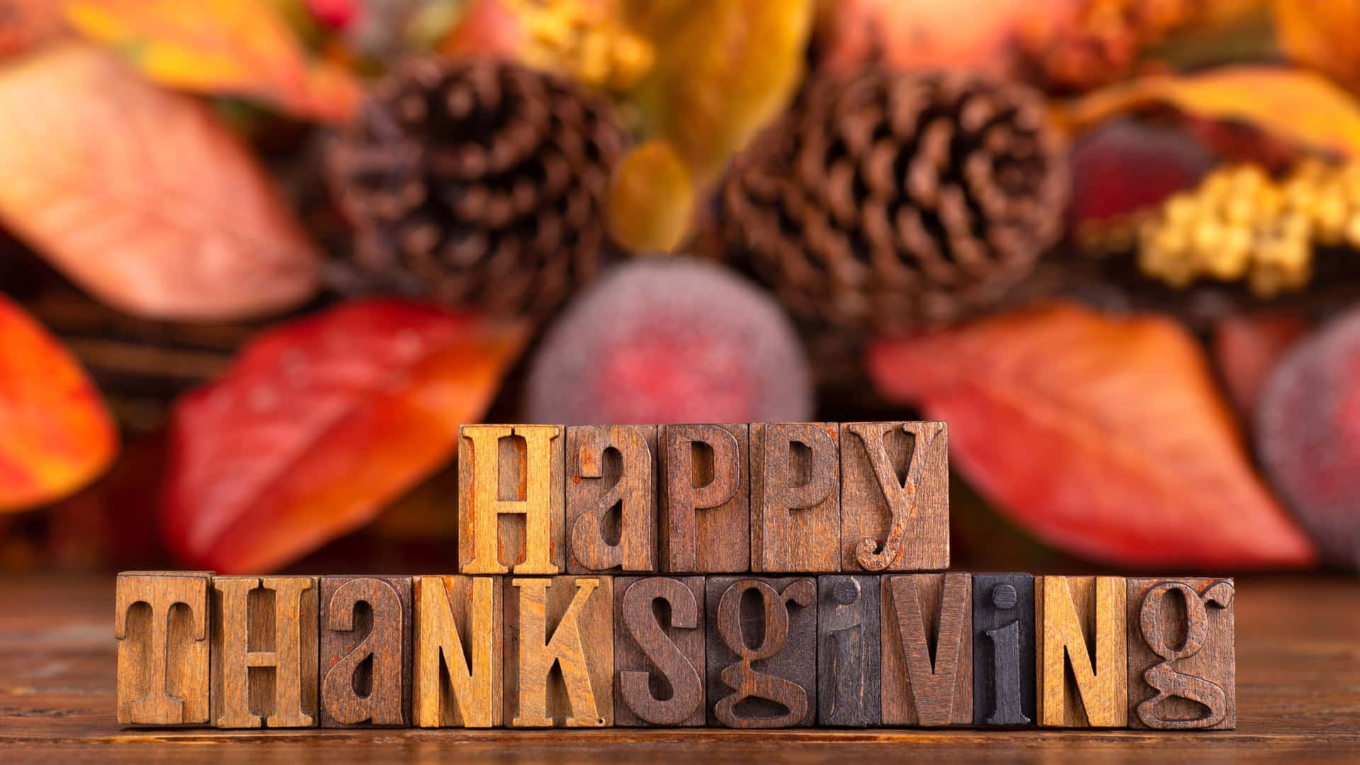 Thanksgiving Celebrations on the Desktop Wallpaper