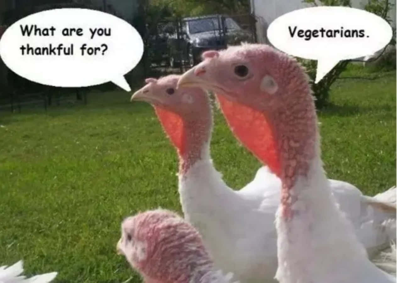 What Are You Vegetarians Thankful For? | Tagged W/ Imgflip Meme Maker