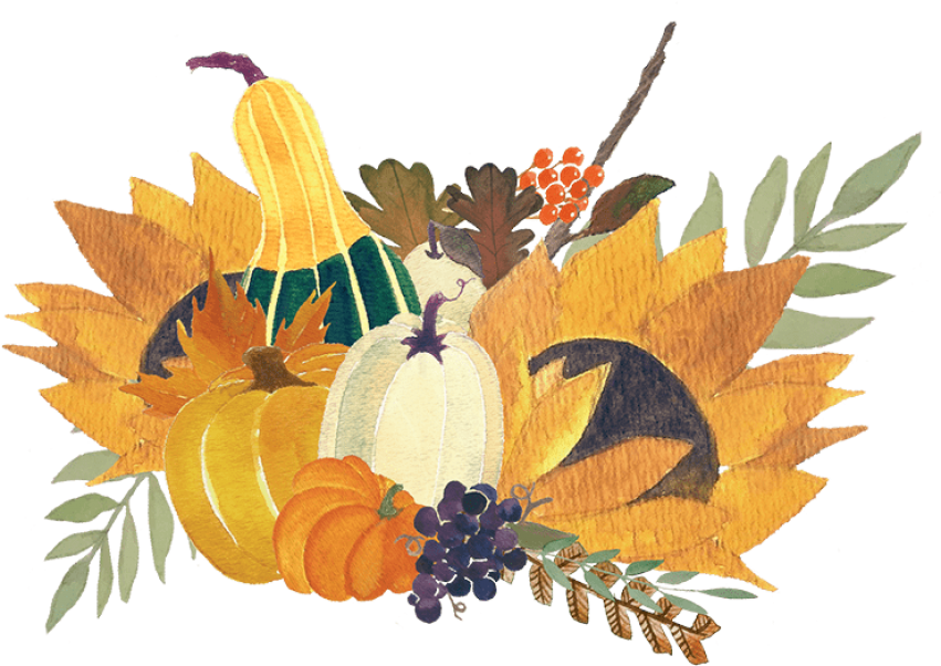 Thanksgiving Harvest Cornucopia Illustration PNG
