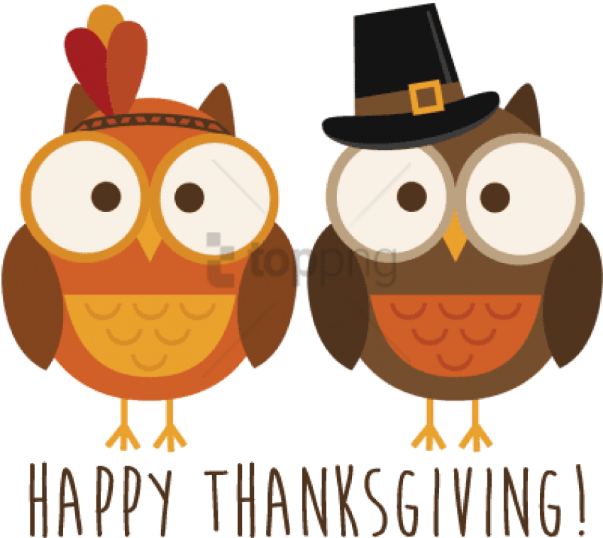 Thanksgiving Owls Celebration PNG