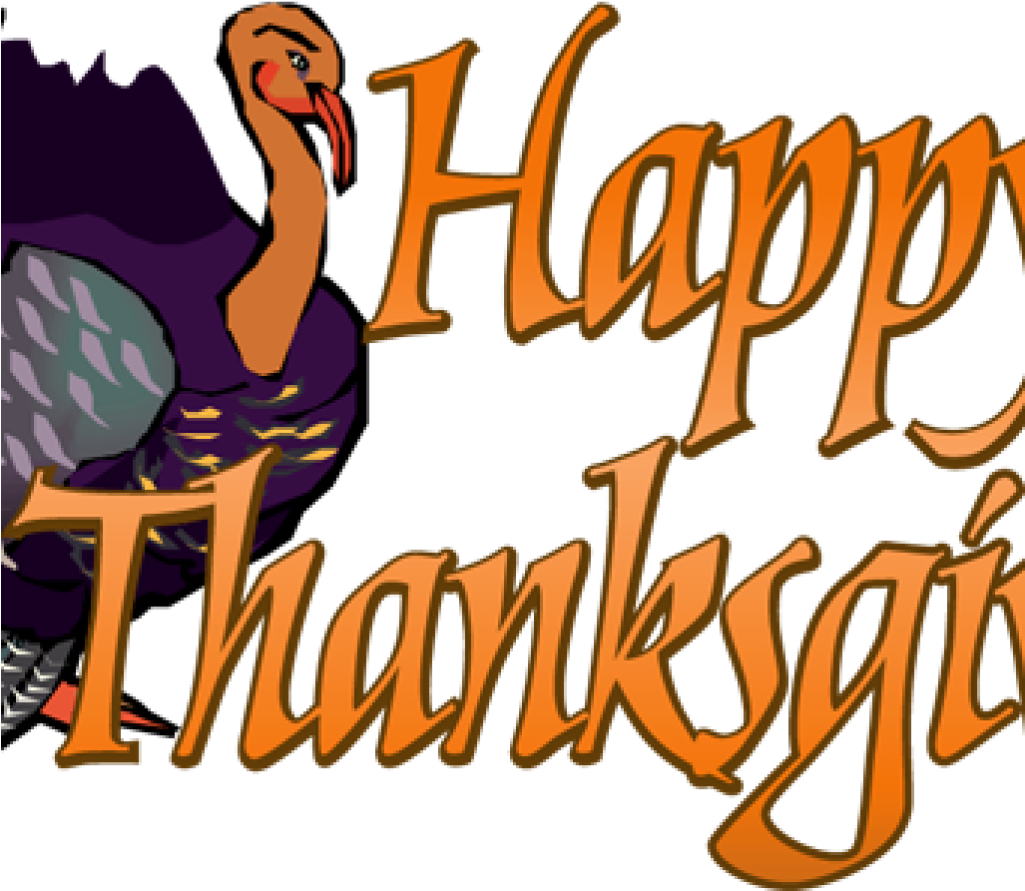 Thanksgiving Turkey Cartoon Graphic PNG