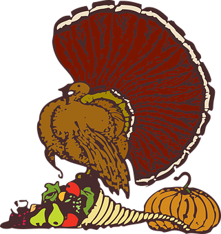 Thanksgiving Turkey Illustration PNG