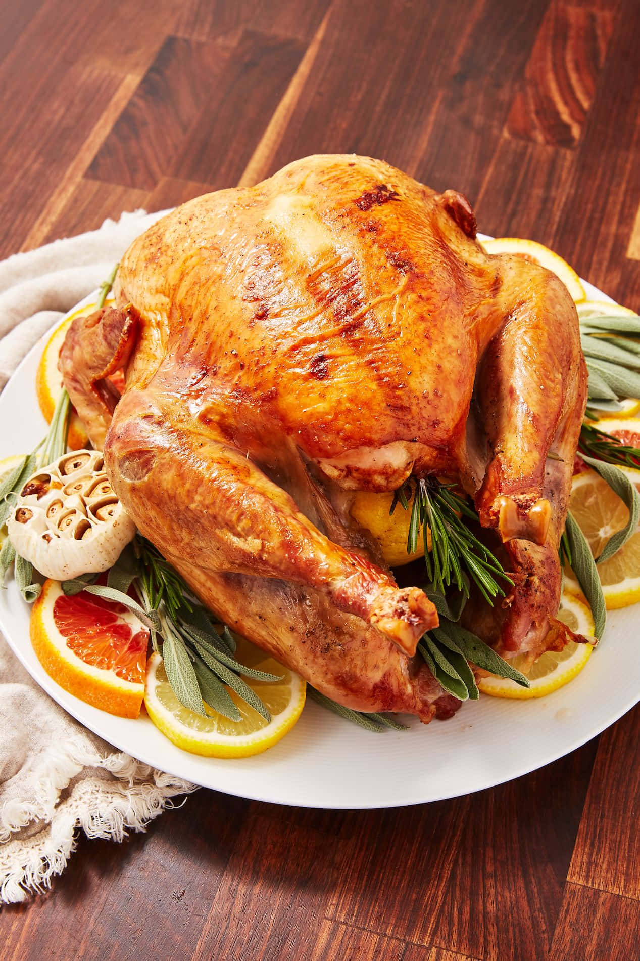 Thanksgiving Turkey Pictures