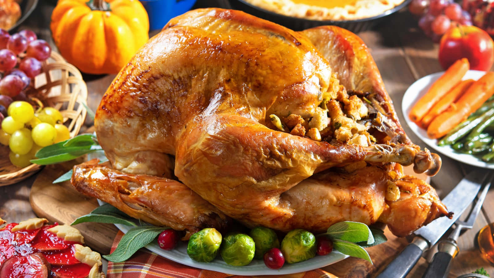 Appetizing Thanksgiving Turkey Picture